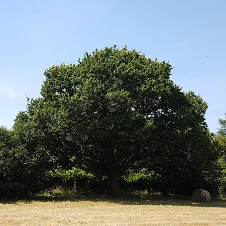 別荘 Le Exotique Du Lutin Many & Son Bain Nordique