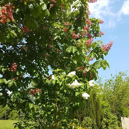 別荘 Le Exotique Du Lutin Many & Son Bain Nordique